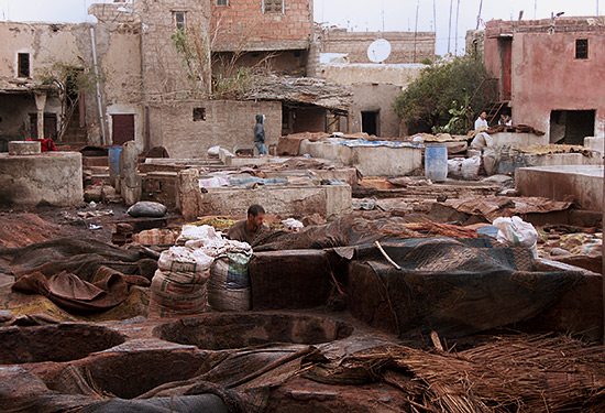 Souk des tanneurs, o les peaux macrent dans les fiantres de pigeons...